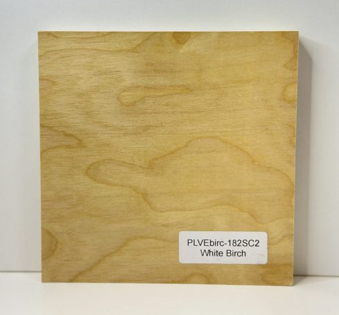 White Birch